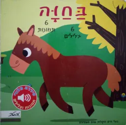 בחוה סדרת מלודי תמונות וצלילים