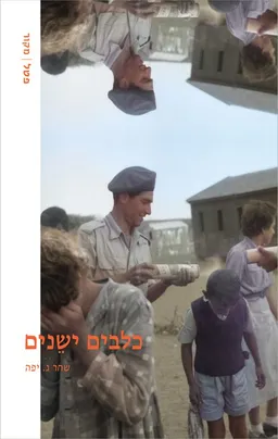 כלבים ישנים