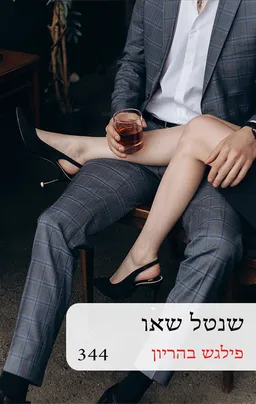 עטיפת הספר פילגש בהריון - מחודש(344) מאת שנטל שאו