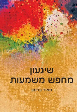 עטיפת הספר שיגעון מחפש משמעות מאת מאיר כרמון