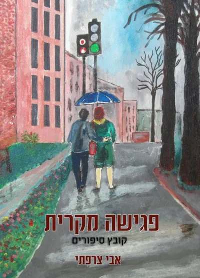 פגישה מקרית : קובץ סיפורים