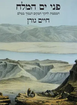 פני ים המלח