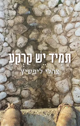 עטיפת הספר תמיד יש קרקע מאת צהלי ליפשיץ