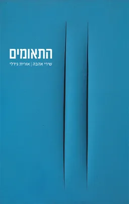 עטיפת הספר התאומים מאת אורית גידלי