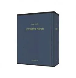 אכיפה סלקטיבית