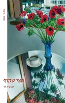 חצי שקוף