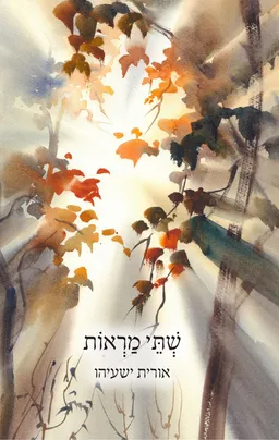 שתי מראות