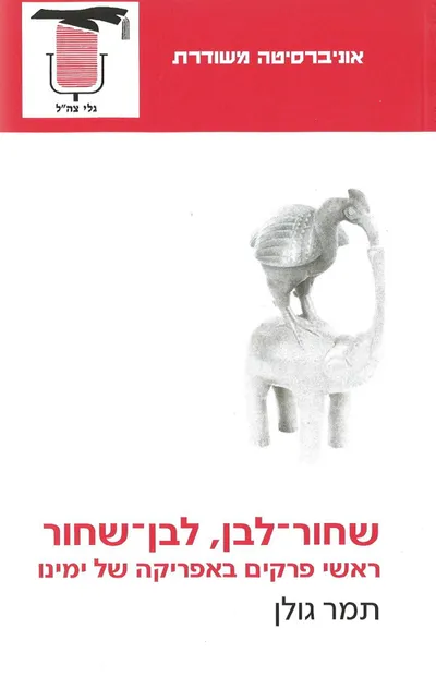 שחור לבן לבן שחור : ראשי פרקים באפריקה של ימינו