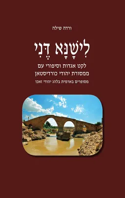עטיפת הספר לישנא דני מאת ורדה שילה