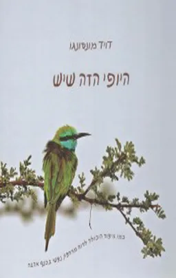 היופי הזה שיש