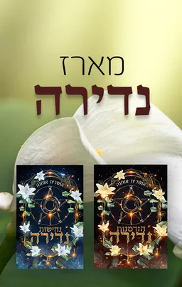 מארז נדירה