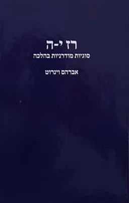 עטיפת הספר רז י-ה מאת אברהם וינרוט