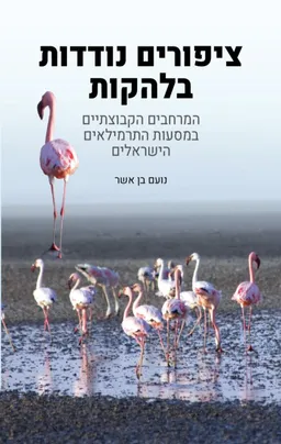 ציפורים נודדות בלהקות