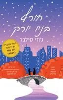 חורף בניו יורק