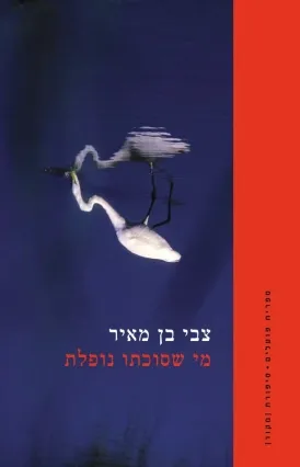 מי שסוכתו נופלת