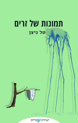 עטיפת הספר תמונות של זרים מאת טל ניצן