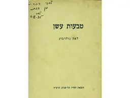 טבעות עשן
