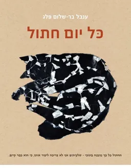 כל יום חתול