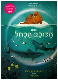 הכוכב הכחל