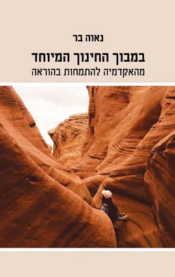 עטיפת הספר במבוך החינוך המיוחד מאת נאוה בר