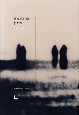התבוננות ביגון
