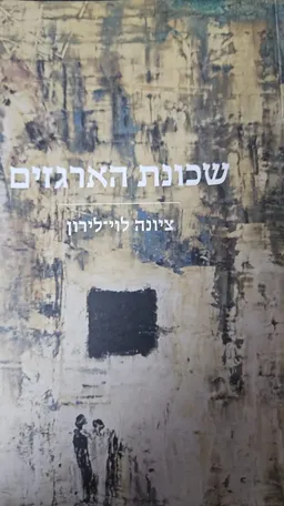 שכונת הארגזים