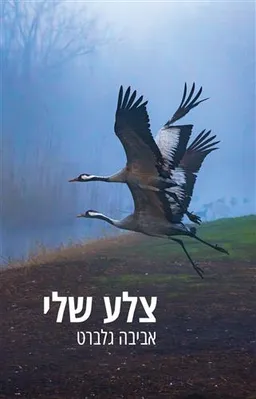 צלע שלי