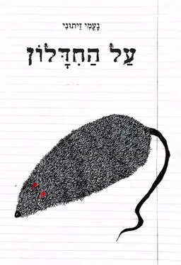 עטיפת הספר על החידלון מאת נעמי זיתוני