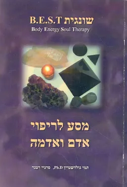 עטיפת הספר שונגית  B.E.S.T  מאת תמי גולדשטיין