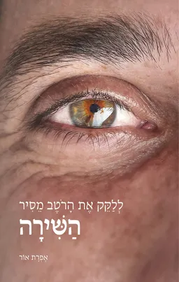 עטיפת הספר ללקק את הרוטב מסיר השירה מאת אפרת אור