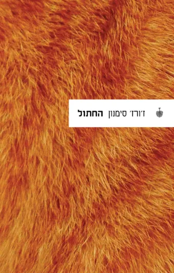 החתול