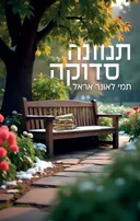 תמונה סדוקה