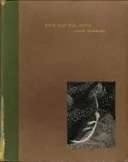 Time and the Gods