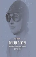 שברים עדינים