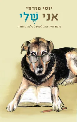 עטיפת אני שלי