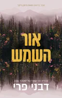 אור השמש