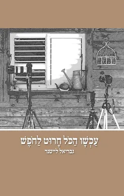 עטיפת עכשיו הכל חרוט לחופש
