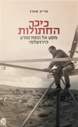 עטיפת כיכר החתולות