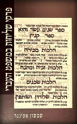 פרקי שליחות במשפט העברי