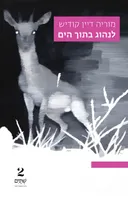 לנהוג בתוך הים