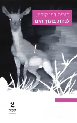 לנהוג בתוך הים
