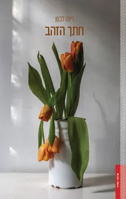 חתך הזהב