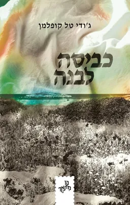 כביסה לבנה
