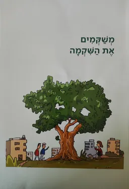 משקמים את השקמה