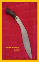 שנים-עשר פגיונות