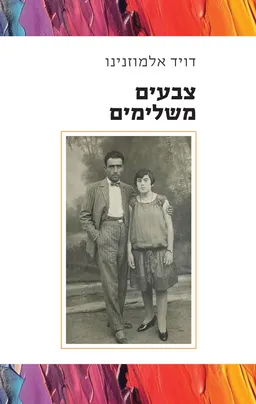 צבעים משלימים