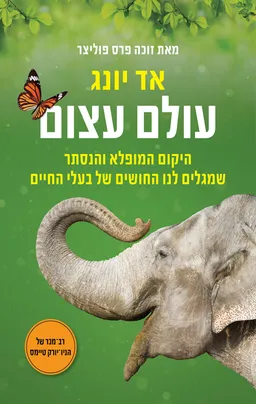 עטיפת עולם עצום