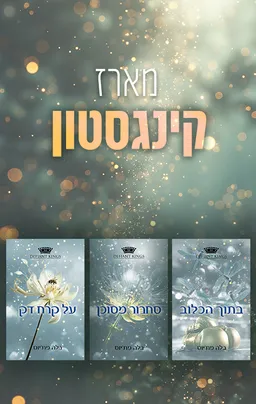 מארז קינגסטון