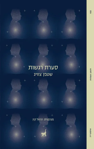 סערת רגשות