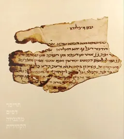 תריסר דפים מהגניזה הקהירית